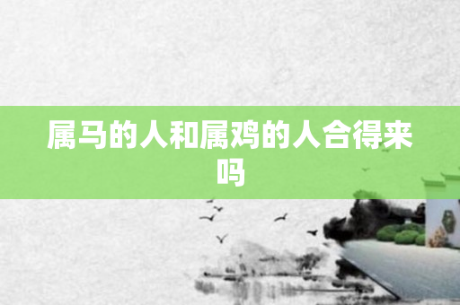 属马的人和属鸡的人合得来吗