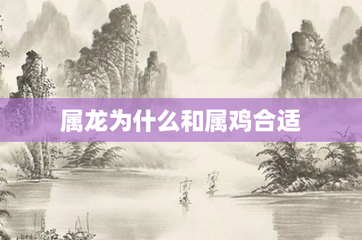 属龙为什么和属鸡合适