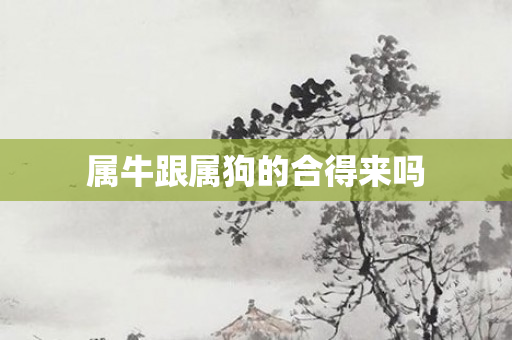 属牛跟属狗的合得来吗
