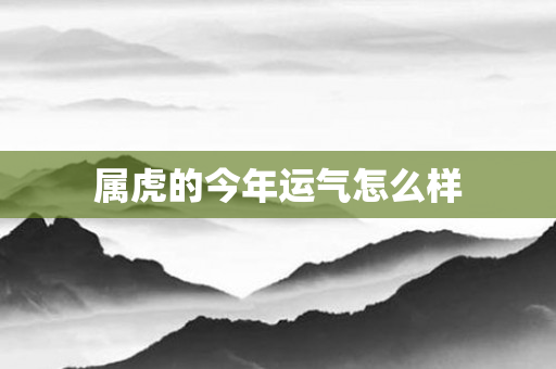 属虎的今年运气怎么样