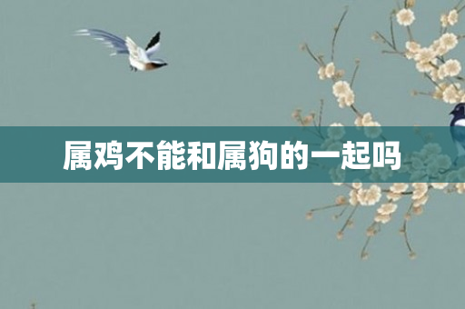 属鸡不能和属狗的一起吗