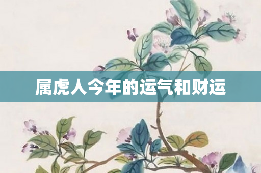 属虎人今年的运气和财运