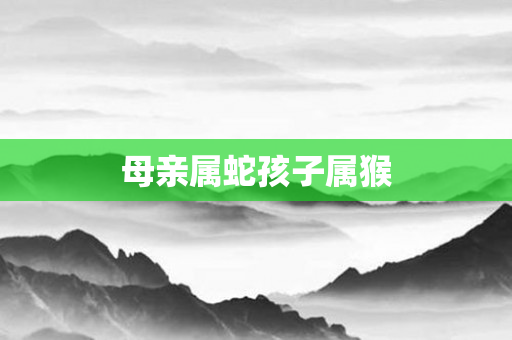 母亲属蛇孩子属猴