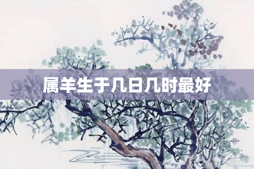 属羊生于几日几时更好
