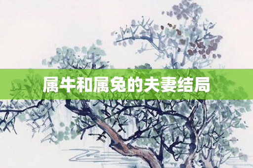 属牛和属兔的夫妻结局