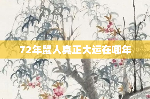 72年鼠人真正大运在哪年