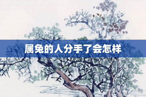 属兔的人分手了会怎样