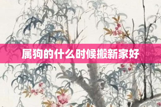 属狗的什么时候搬新家好