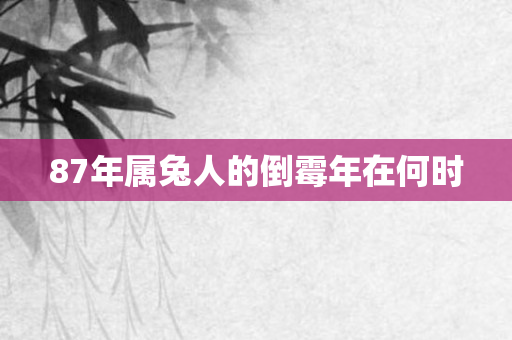87年属兔人的倒霉年在何时