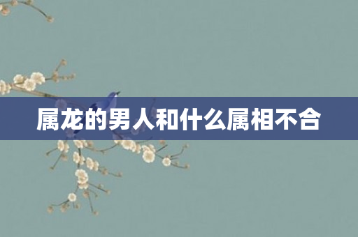 属龙的男人和什么属相不合