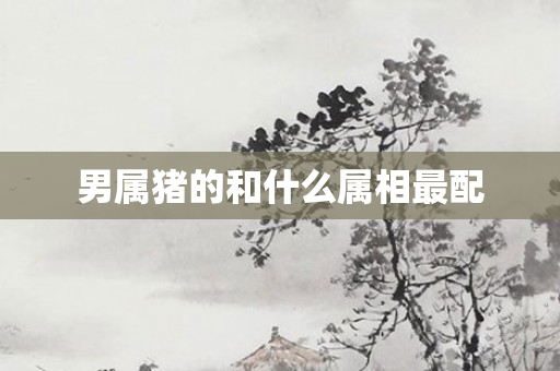 男属猪的和什么属相最配