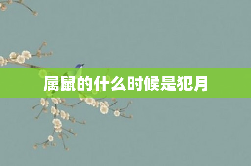 属鼠的什么时候是犯月