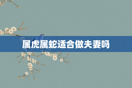 属虎属蛇适合做夫妻吗