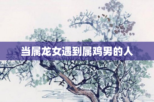 当属龙女遇到属鸡男的人