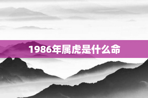 1986年属虎是什么命