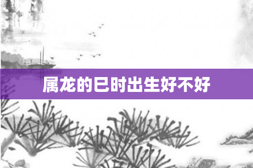 属龙的巳时出生好不好
