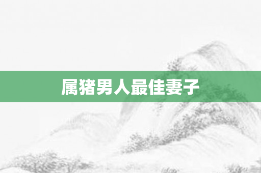 属猪男人更佳妻子