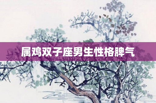 属鸡双子座男生性格脾气