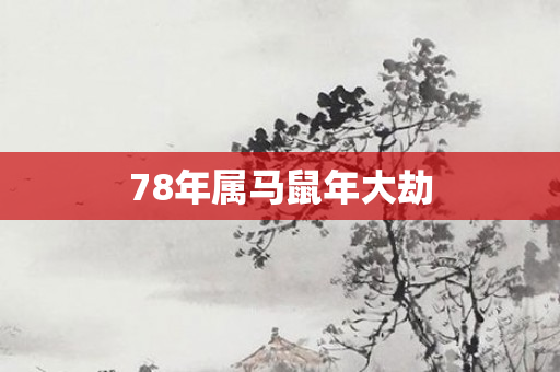 78年属马鼠年大劫