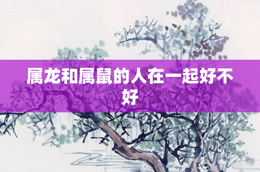属龙和属鼠的人在一起好不好