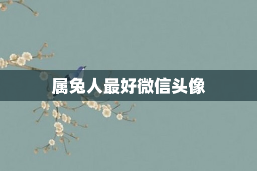 属兔人更好微信头像