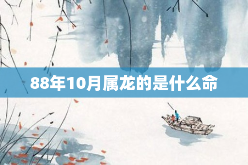 88年10月属龙的是什么命