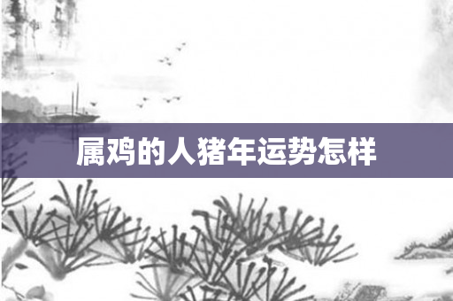 属鸡的人猪年运势怎样