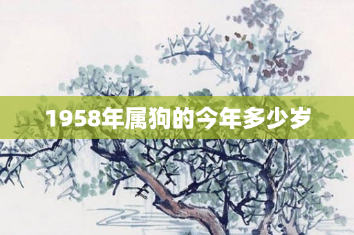 1958年属狗的今年多少岁