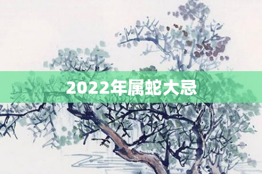 2022年属蛇大忌