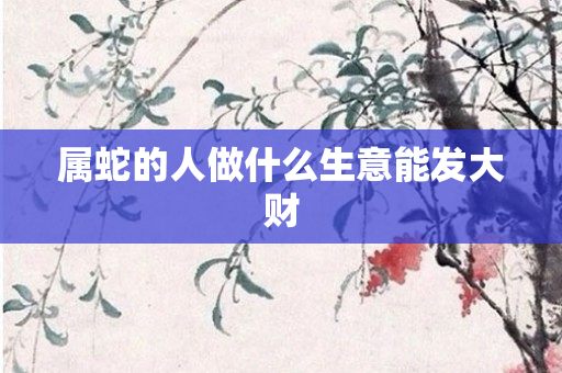 属蛇的人做什么生意能发大财