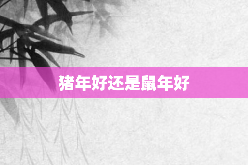 猪年好还是鼠年好