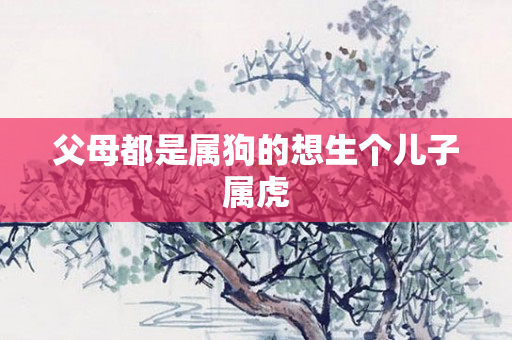父母都是属狗的想生个儿子属虎