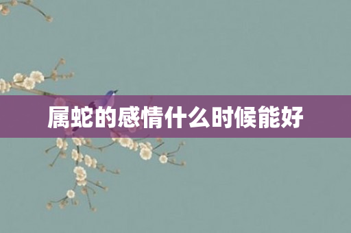 属蛇的感情什么时候能好