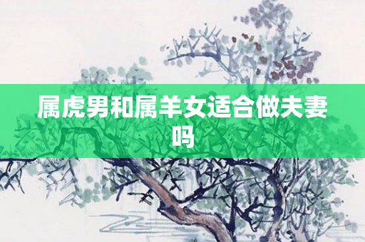 属虎男和属羊女适合做夫妻吗